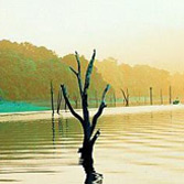 Green Leaf Holidays - tour packages SOUTH INDIA